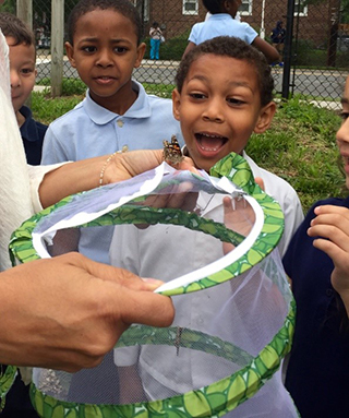 Young students excited by a butterfly